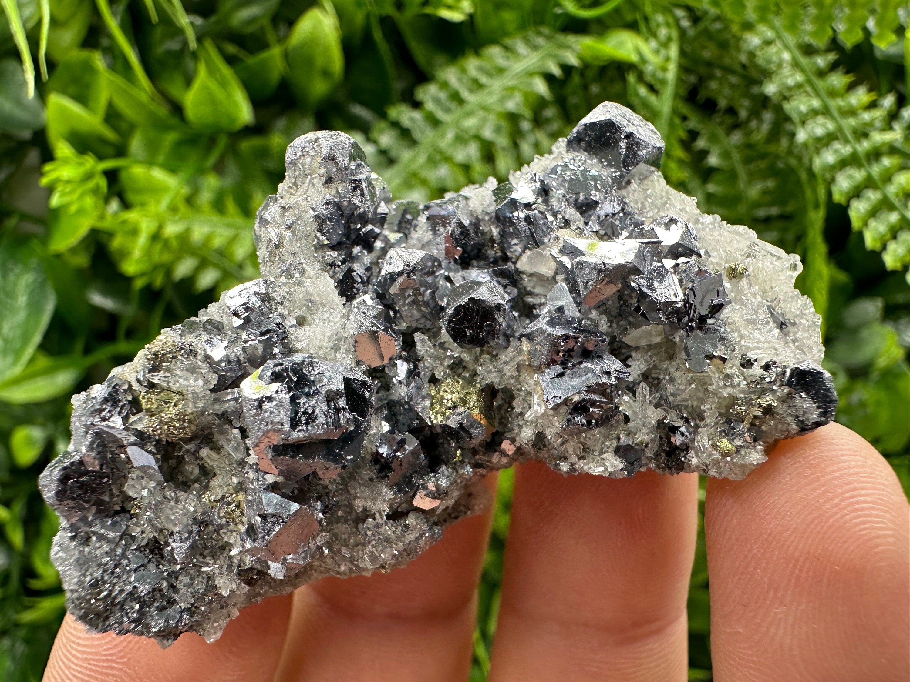 Galena Chalcopyrite on Quartz: Crystal Home Decor, Borieva Mine