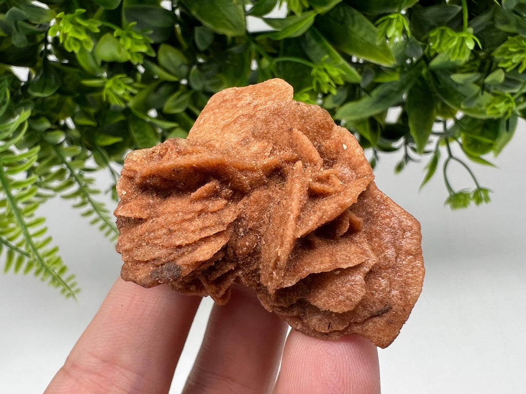 Desert Rose Selenite Crystal: Root Chakra Healing Stone, Home Decor
