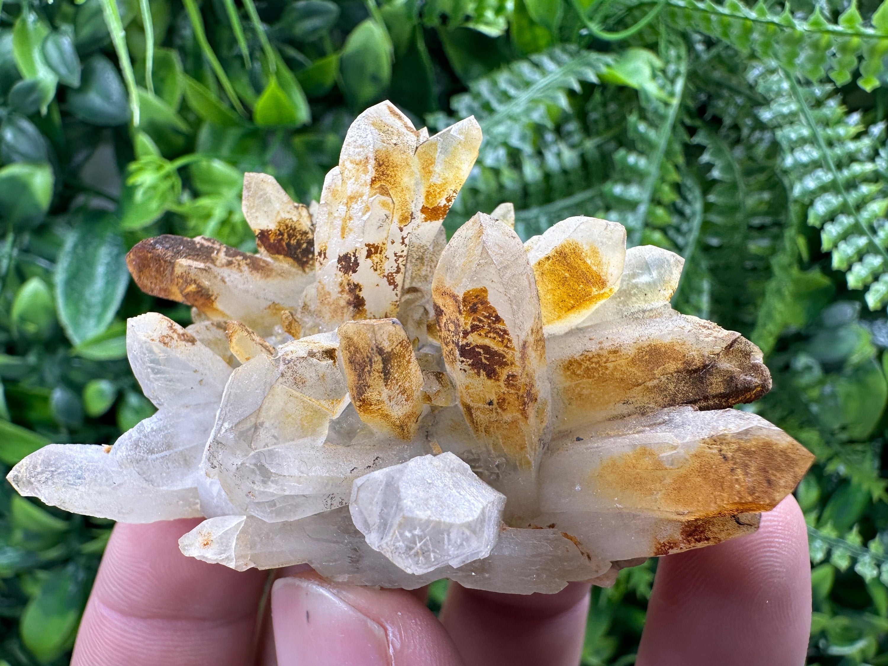 Limonite Coated Quartz Crystal - Natural Mineral Specimen