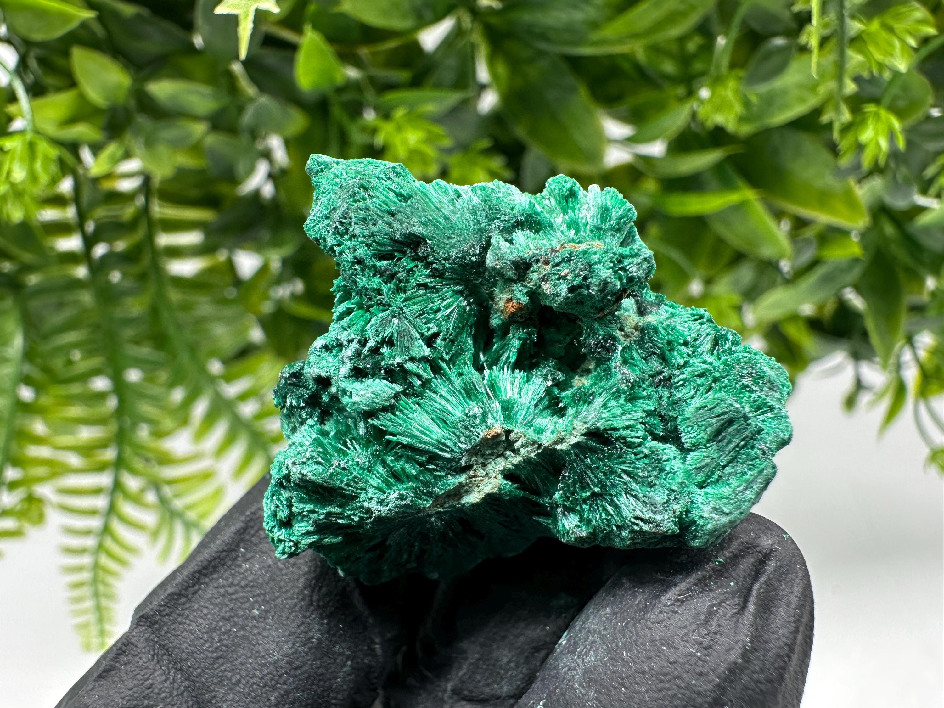 Malachite Crystal from Congo,Minerals,Crystals from Congo,Green Malachite, Malachite,Natural Malachite,Malachite Stone,Chakra, Specimens