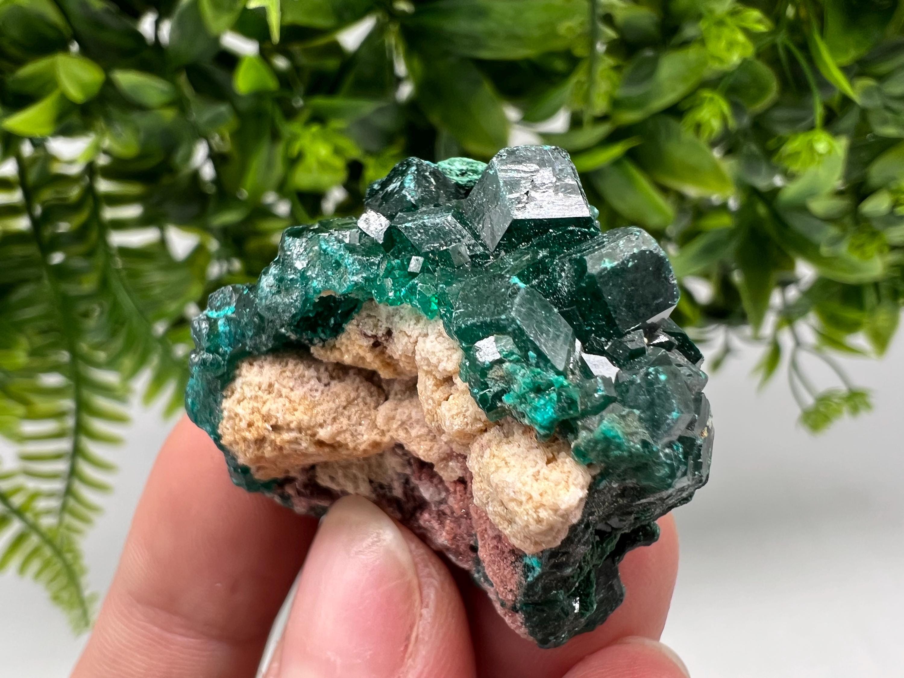 Stunning Green Dioptase from Sanda Hills,Mindouli,Pool Department,Mindouli District,Congo,green Dioptase,Dioptas Crystal,Dioptase collecting