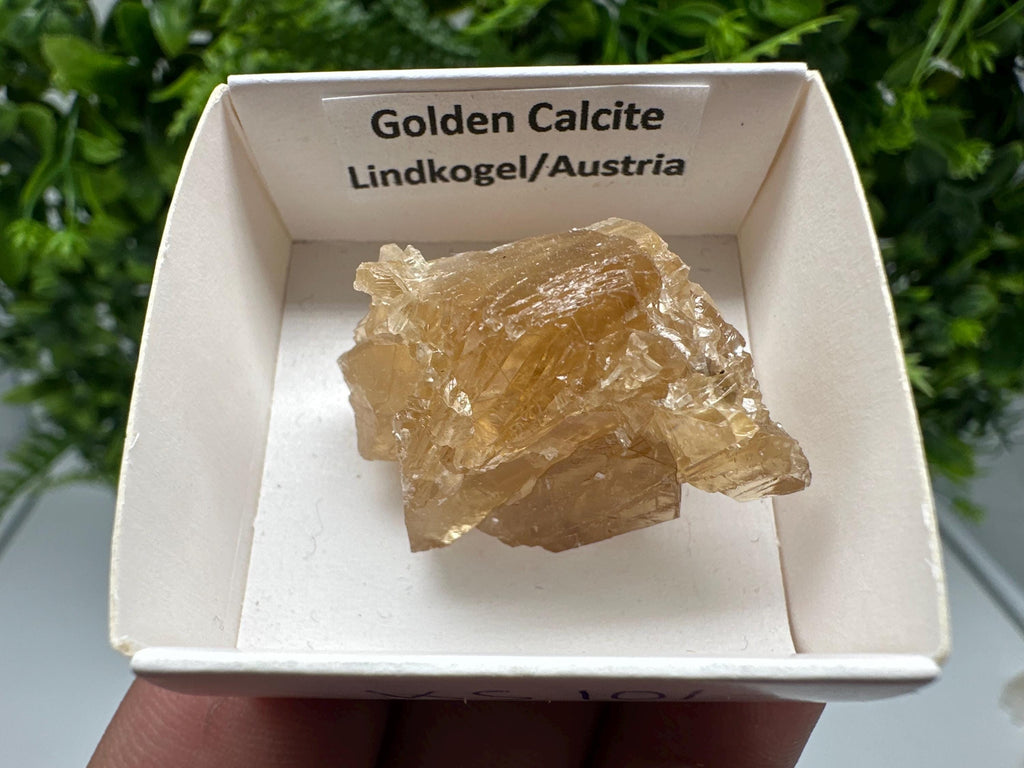 Raw Honey Calcite Crystal: Rough Golden Stone (3.5/2.5 cm)