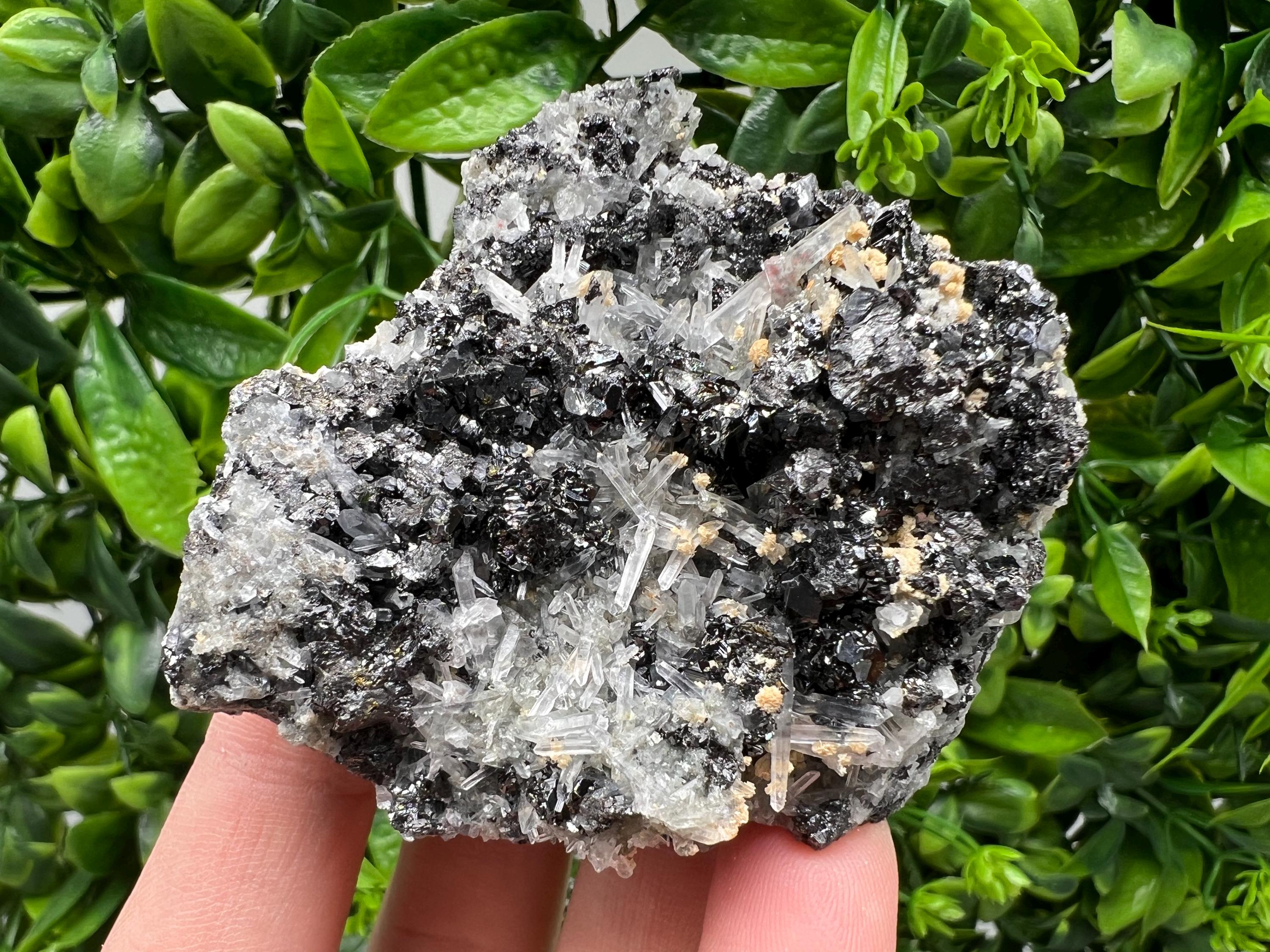 Galena Cluster with Siderite and Quartz, 9th September Mine, Bulgaria