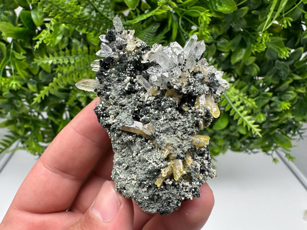 Chlorite Epidote Quartz Specimen: Borieva Mine, Bulgaria
