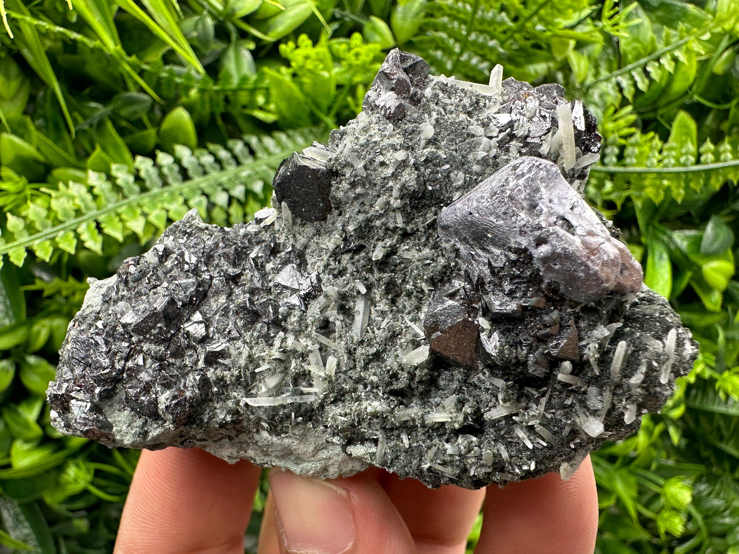 Galena Sphalerite Quartz Mineral Specimen, Borieva Mine Bulgaria