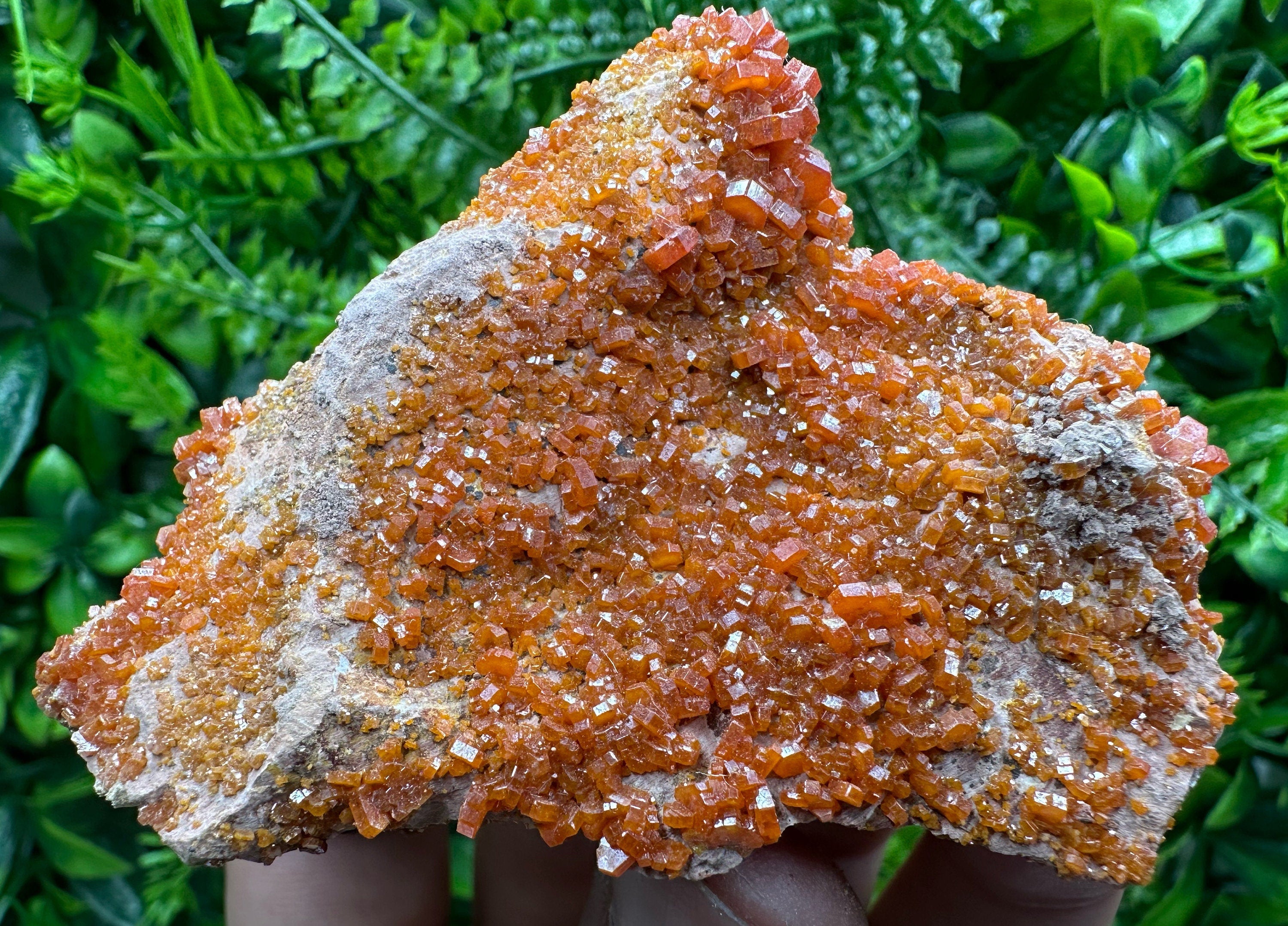 Red Vanadinite Crystal Cluster on Matrix, Morocco Mineral Specimen