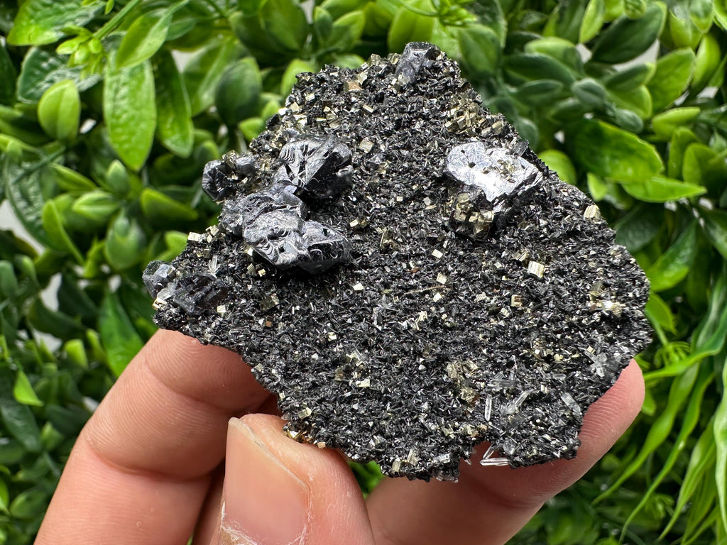 Galena Sphalerite Pyrite Crystal, Borieva Mine, Bulgaria