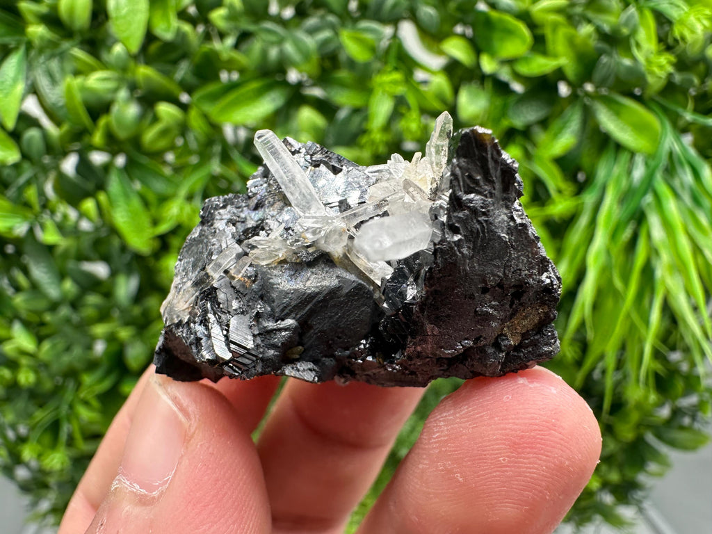 Wonderful Sphalerite Chalcopyrite on  Quartz whit Hematite feom 9 th September mine,Bulgaria,natural,collection mineral specimen,gift