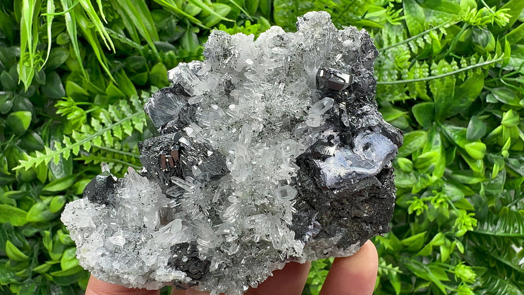 Sphalerite, Mirror Galena on Quartz, Bulgaria Minerals, Crystal Decor (9/7/7 cm)