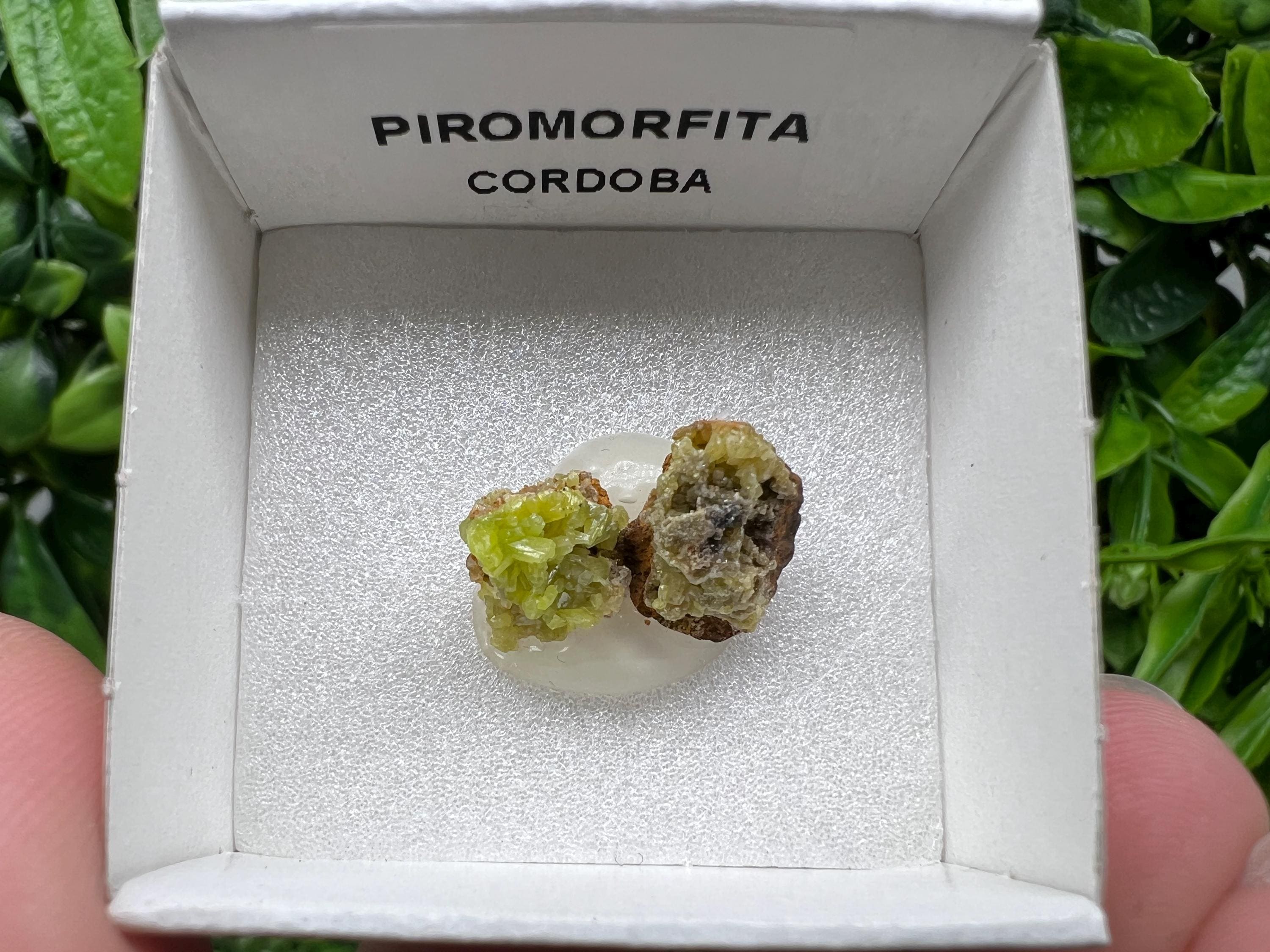 Pyromorphite Stone / Pyromorphite on Matrix / Pyromorphite Crystal / Raw Crystal / Pyromorphite Cluster / Rough Pyromorphite / Pyromorphite