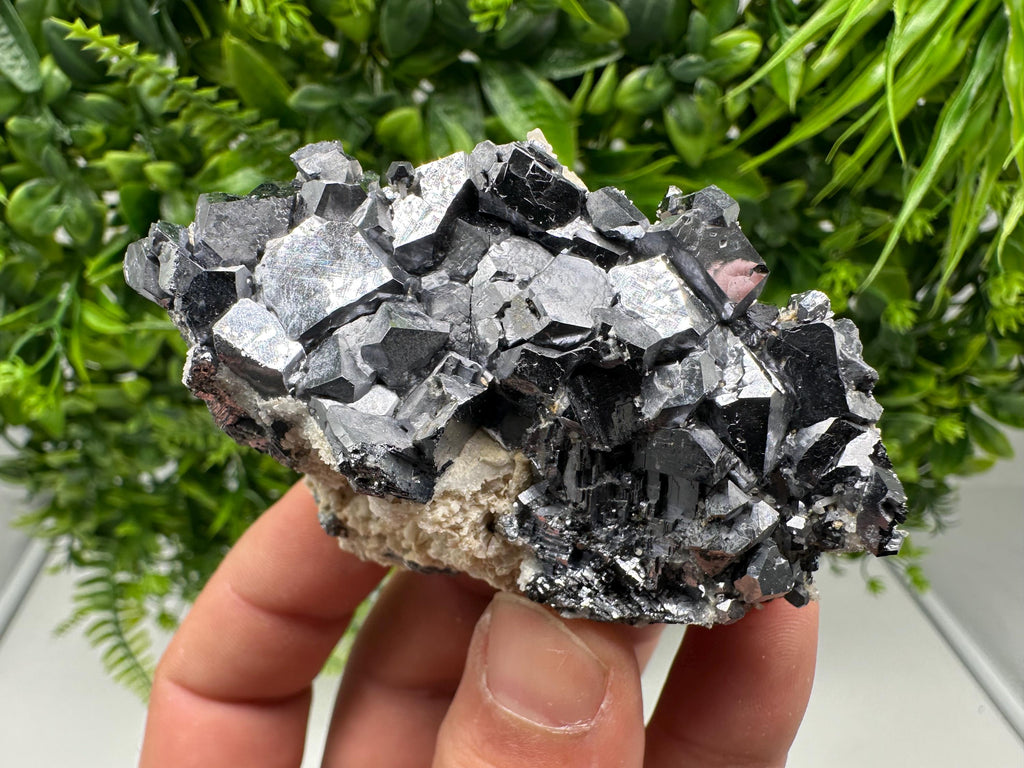 Mirror Galena from Krushev dol mine,Madan,Bulgaria
