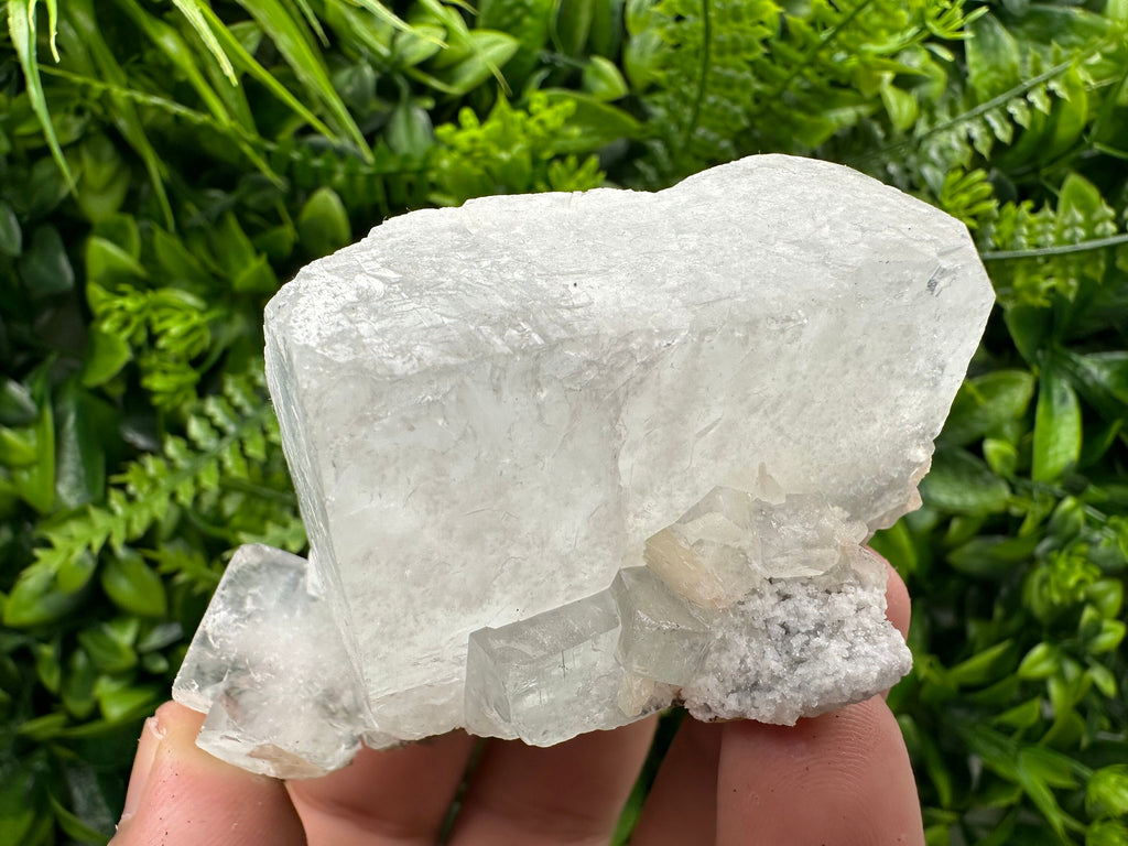 Transparent Apophyllite on Chalcedony, India Minerals Specimen