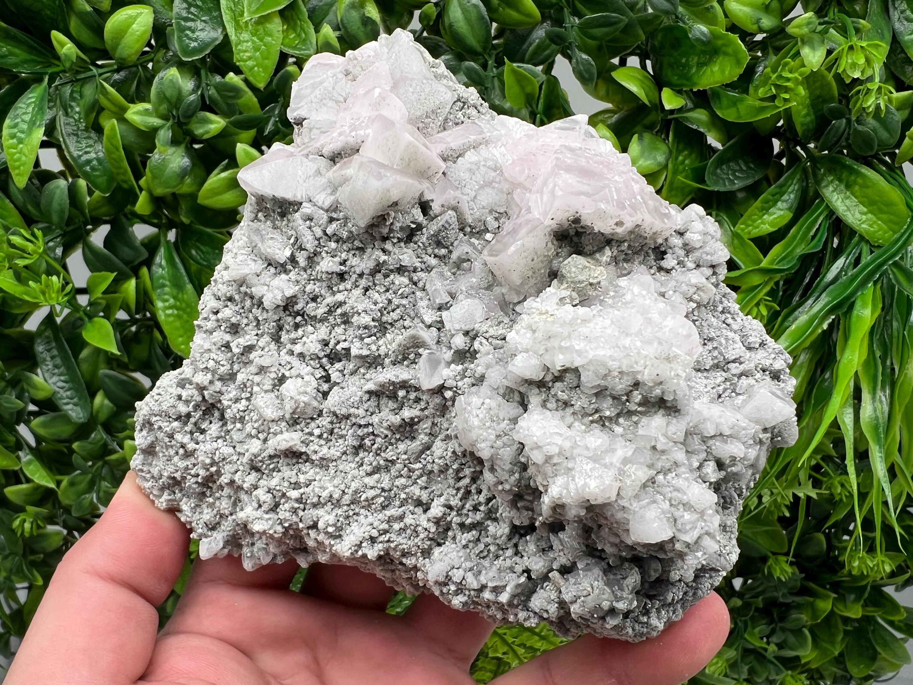 UV Reactive Mangano Calcite Crystal, Androvo Mine Bulgaria