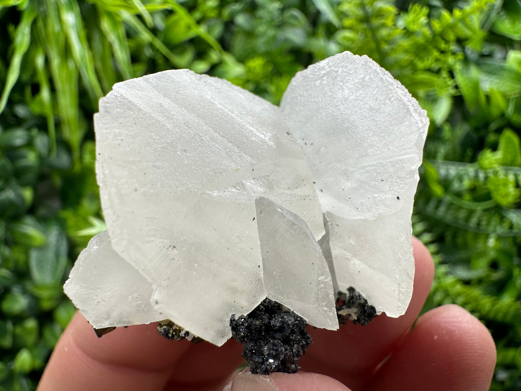White Calcite on Matrix, Madan Bulgaria Crystal Mineral