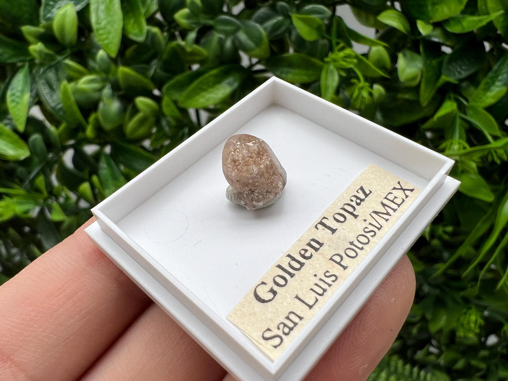 Beautiful Golden Topaz from Mexico,collection piece Crystal,Mineral,collectibles,Collectors, Natural Crystal, Minerals from Mexico,original,