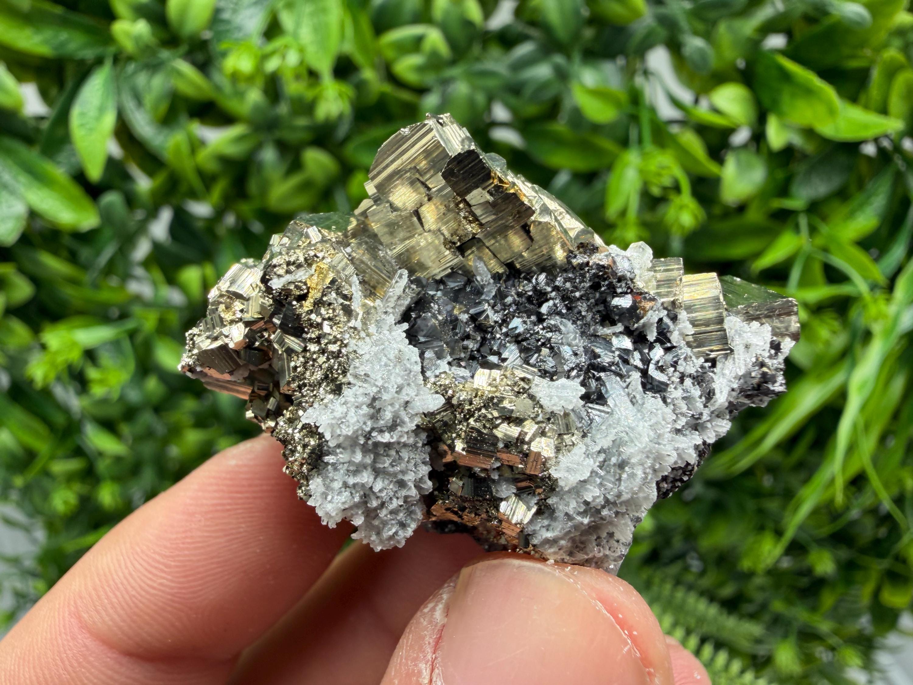 Pyrite Sphalerite Quartz  Mineral Specimen, Krushev dol Mine