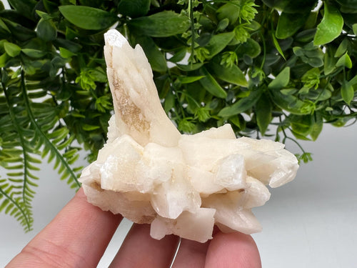 Calcite on Green Quartz: Djurcovo Mine, Bulgaria Healing Crystal
