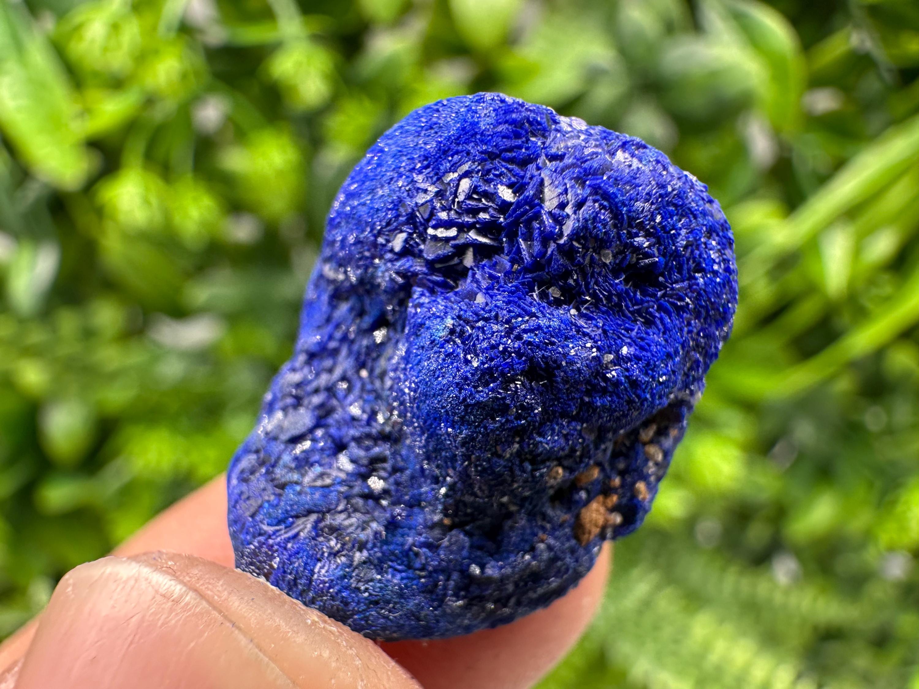 Crystallized Azurite-Kerrouchen,Morocco-Blue Azurite Specimen-High Quality Blue Azurite-Azurite Mineral Specimen, gemmy,lustrous of Azurite