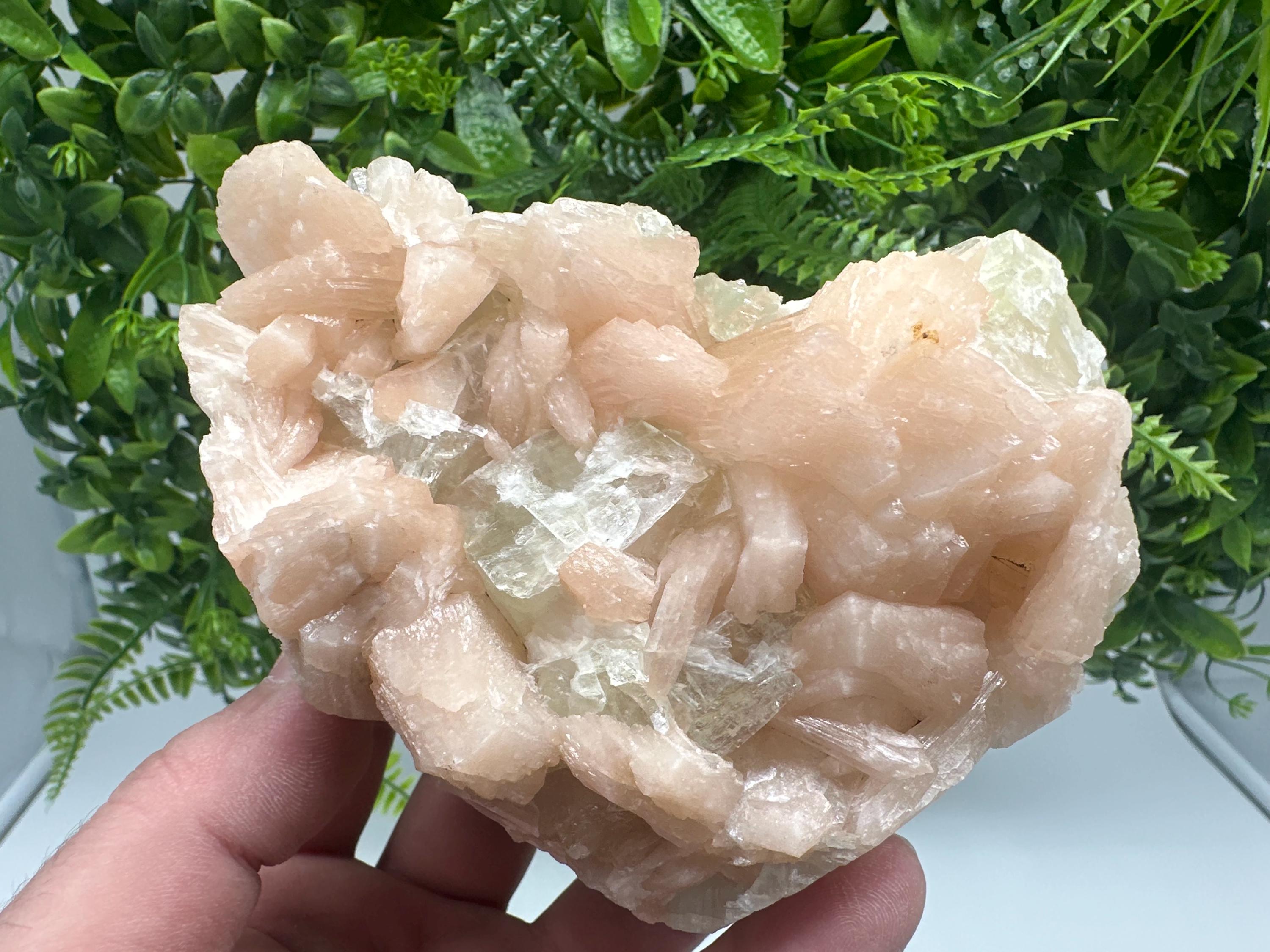 Apophyllite Stilbite on Chalcedony, India Crystal Specimen