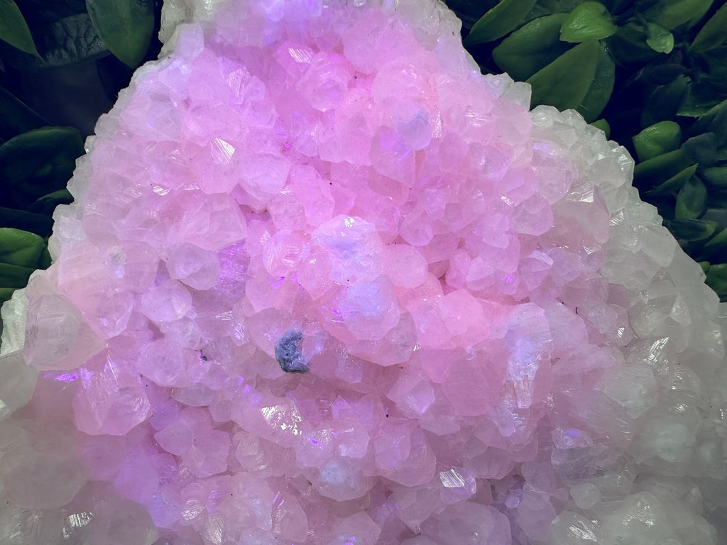 Large UV Mangano Calcite Specimen: Pink Mineral Cluster