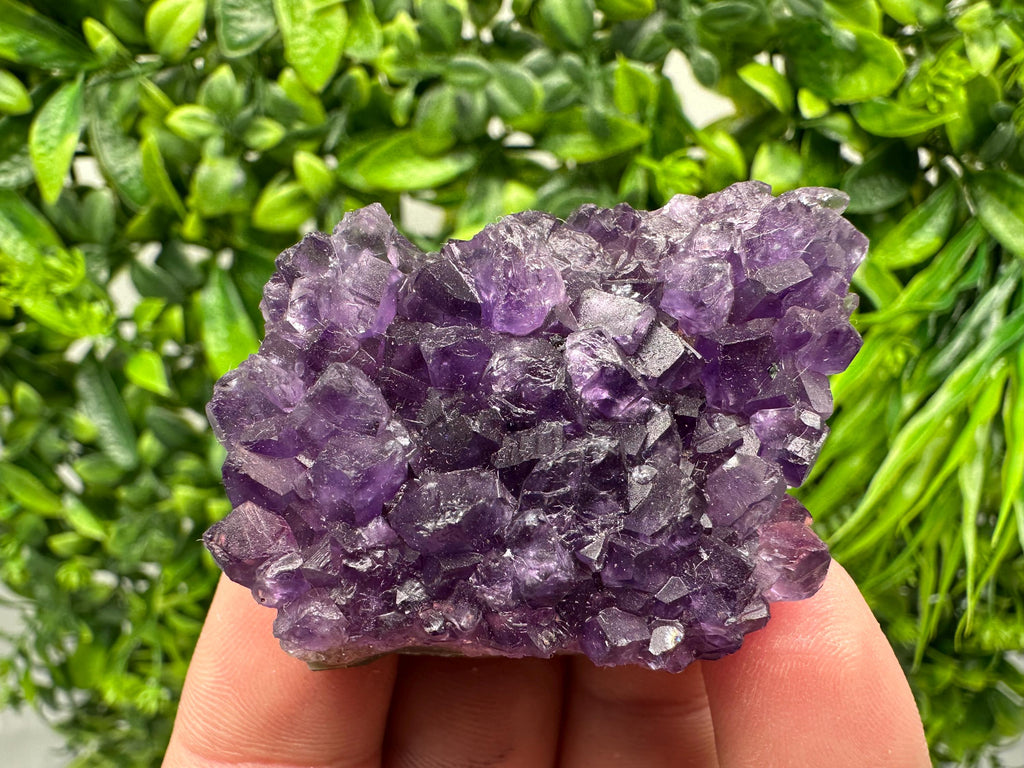 Uruguay Amethyst Cluster: Purple Quartz Crystal, Home Decor