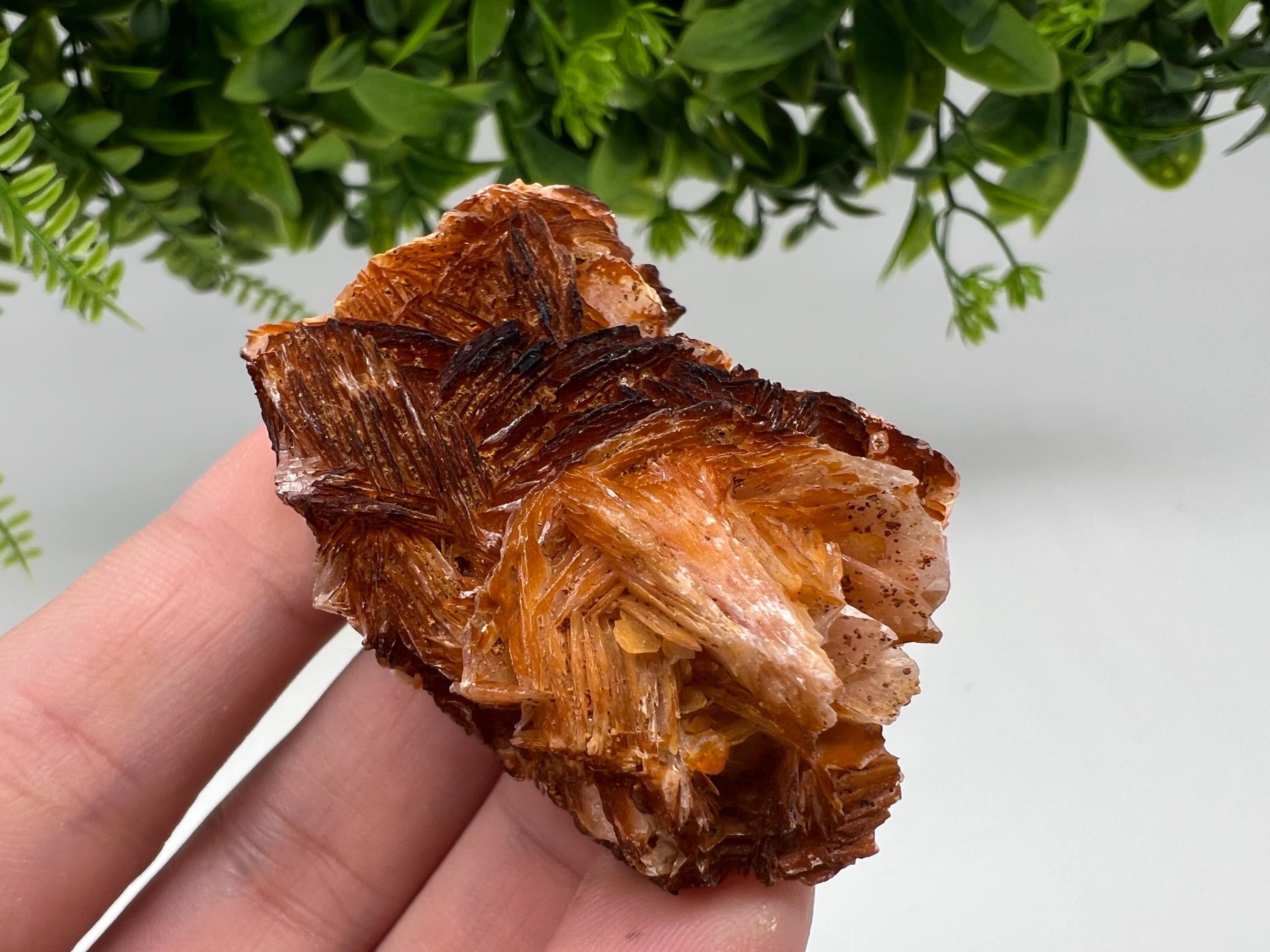 Wonderful Baryte with Cerussite on Galena from Morocco,Crystal, Mineral,Specimen,Cluster,Crystals,Barite Crystal,Cerussite Crystal,Specimen
