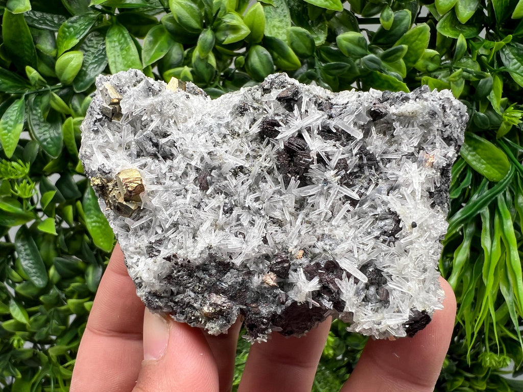 Rainbow Pyrite on Quartz with Oxide, Borieva Bulgaria