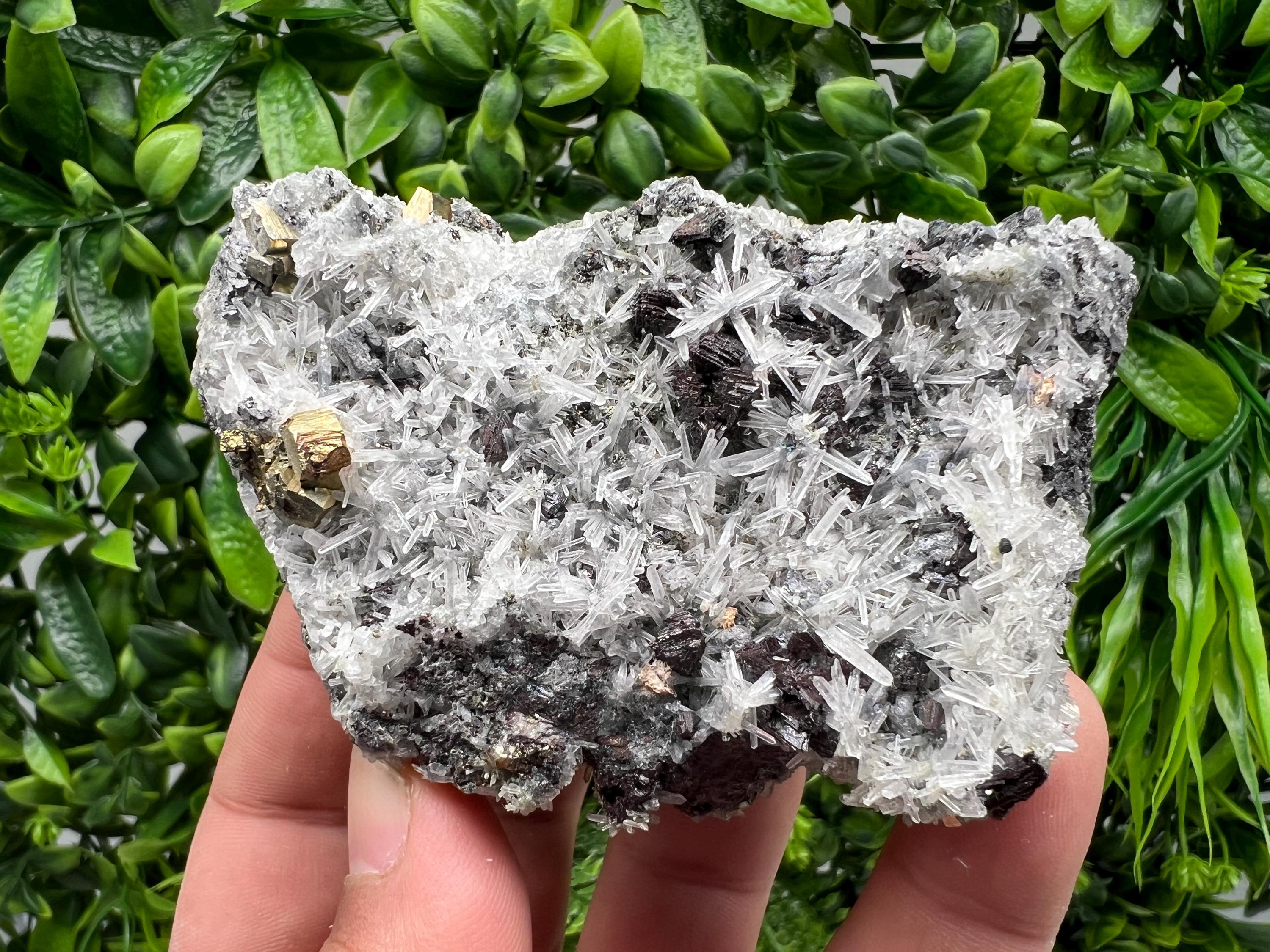 Rainbow Pyrite on Quartz with Oxide, Borieva Bulgaria