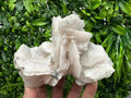 Mangano Calcite Wings on Chlorite Matrix, Bulgarian Mineral Specimen