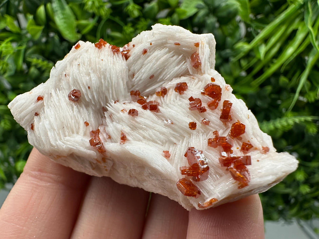 Red Vanadinite on Barite Cluster, Morocco Mineral Specimen