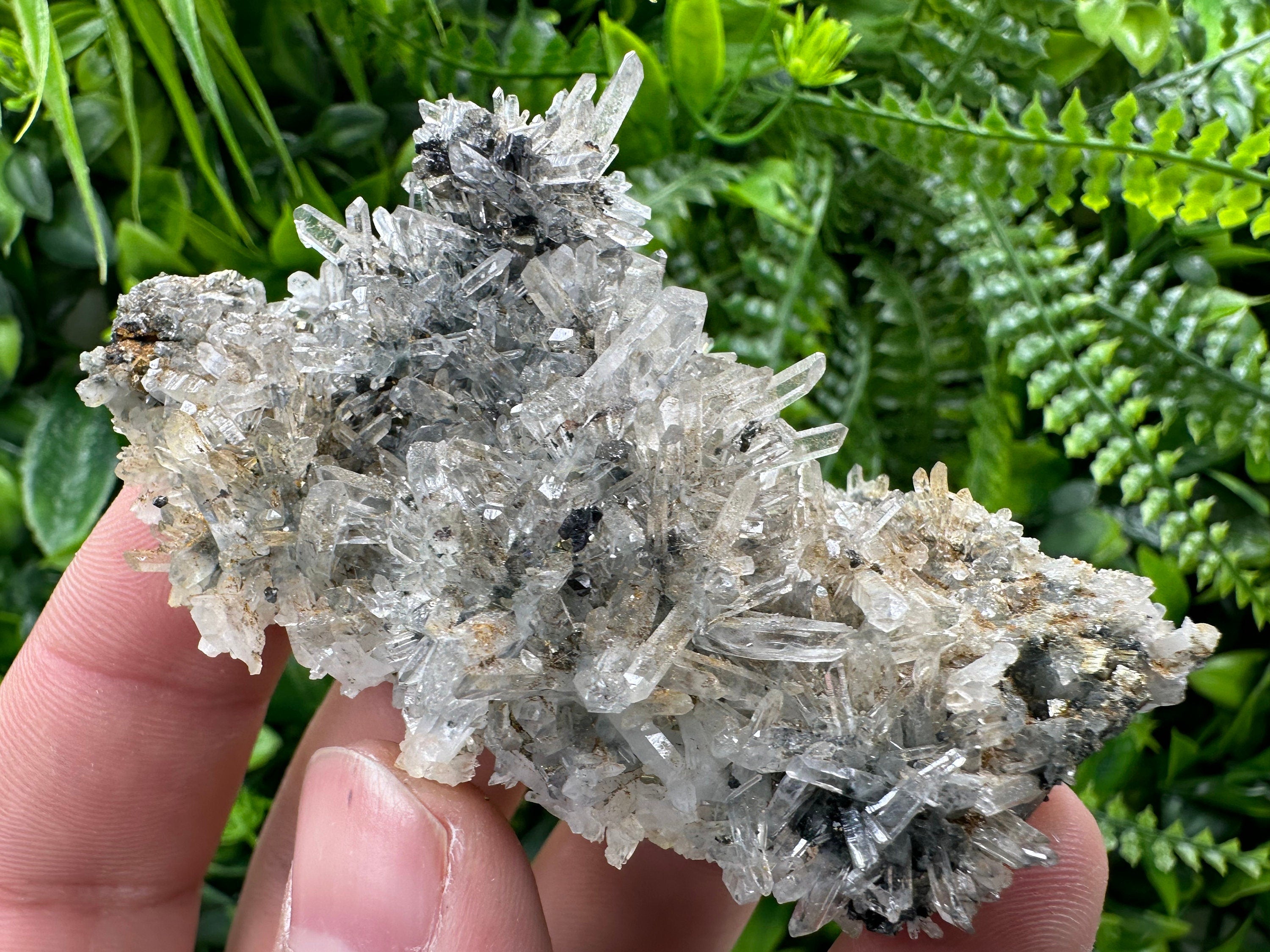 Pyrite Sphalerite on Quartz, Borieva Mine, Bulgaria (8/6/3 cm)