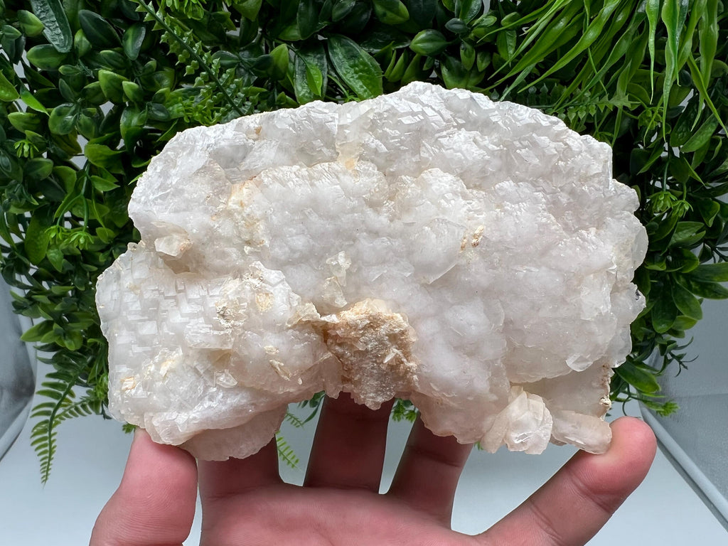 Mangano Calcite with Galena, Borieva Mine, Bulgaria
