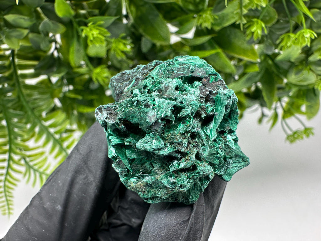 Malachite Crystal from Congo,Minerals,Crystals from Congo,Green Malachite, Malachite,Natural Malachite,Malachite Stone,Chakra, Specimens