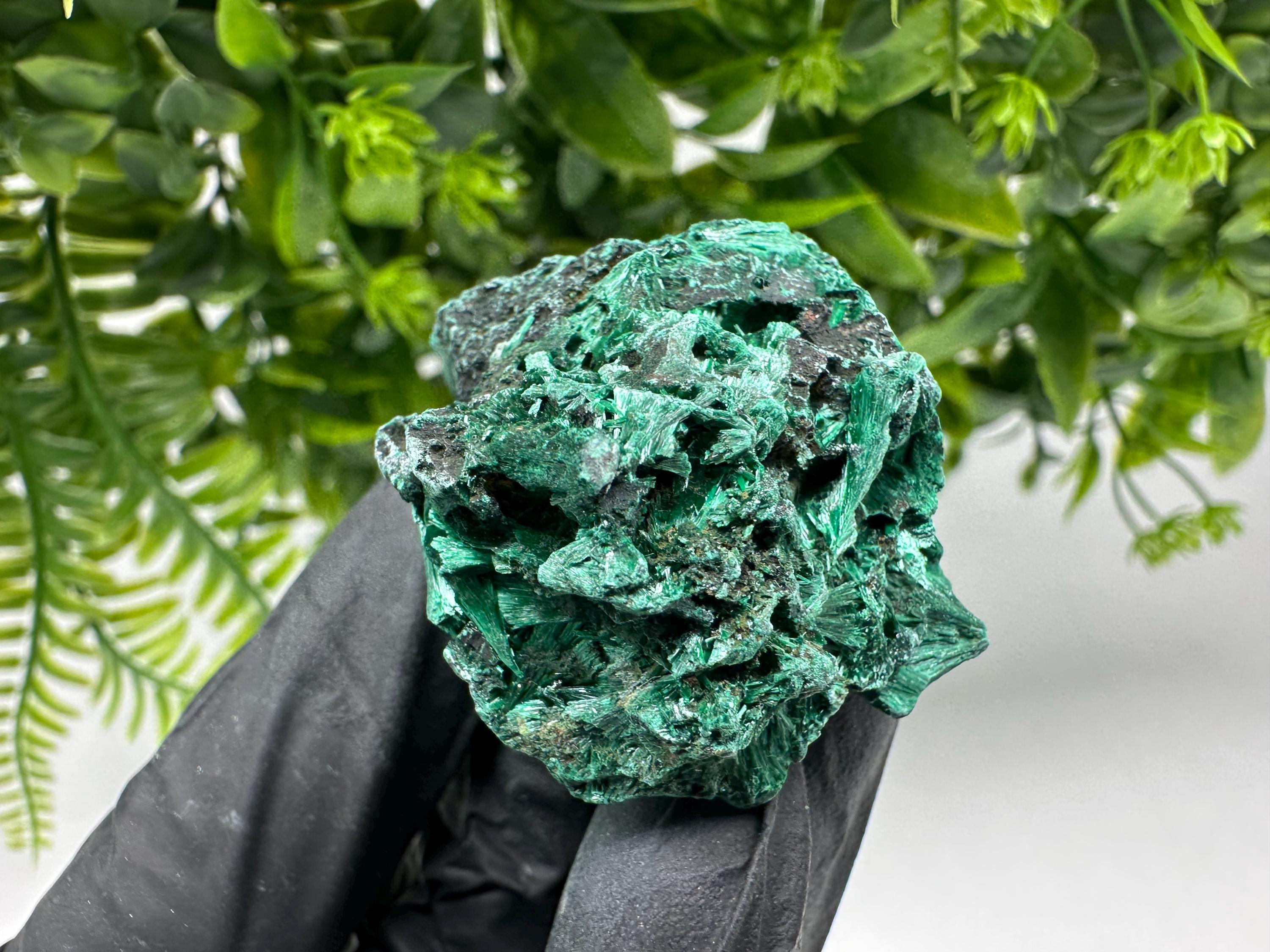 Malachite Crystal from Congo,Minerals,Crystals from Congo,Green Malachite, Malachite,Natural Malachite,Malachite Stone,Chakra, Specimens