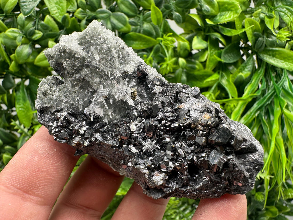 Sphalerite on Green Quartz, Madan Bulgaria Mineral Specimen