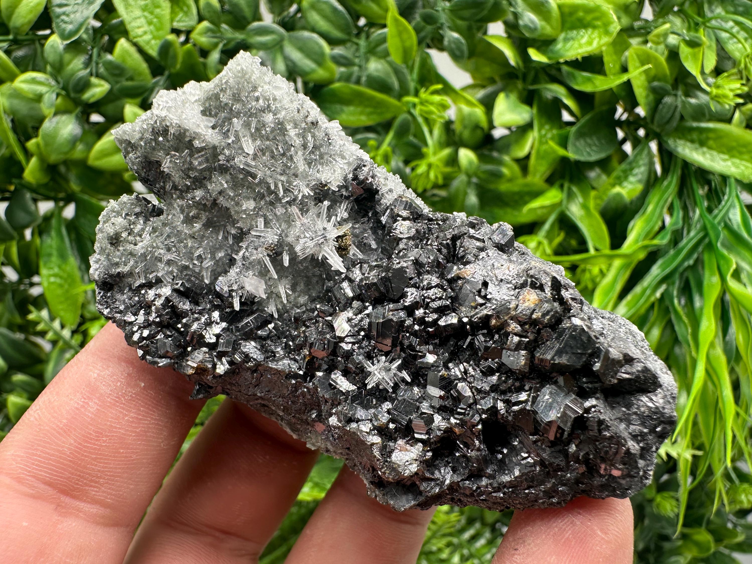 Sphalerite on Green Quartz, Madan Bulgaria Mineral Specimen