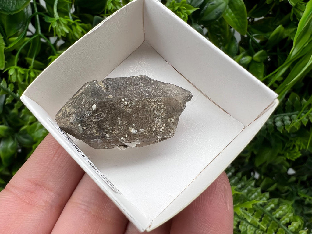 Rare Fedenstock Smoky Quartz Mineral Specimen, Switzerland (57 MM)