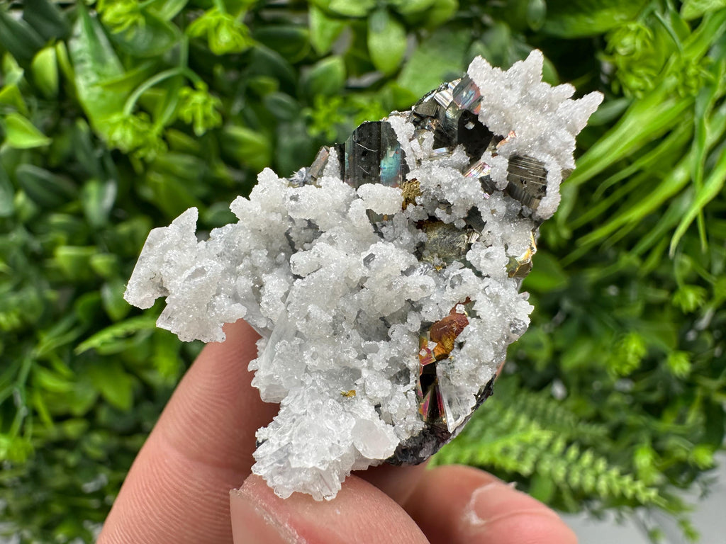 Galena Pyrite Sphalerite Quartz  Mineral Specimen, Krushev dol Mine