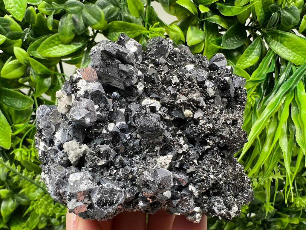 Galena Spinel Law on Sphalerite, Madan Bulgaria Mineral Specimen