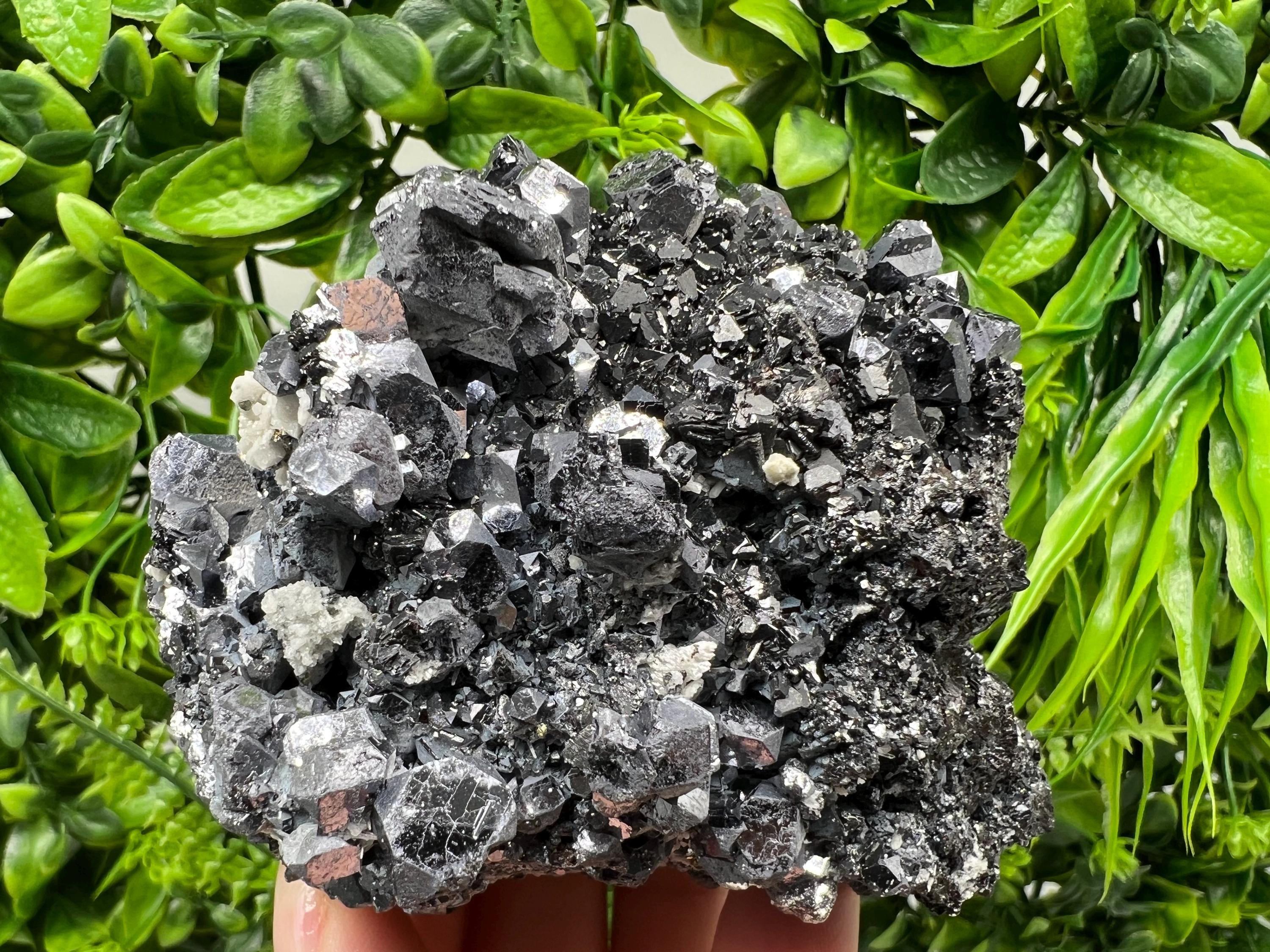 Galena Spinel Law on Sphalerite, Madan Bulgaria Mineral Specimen