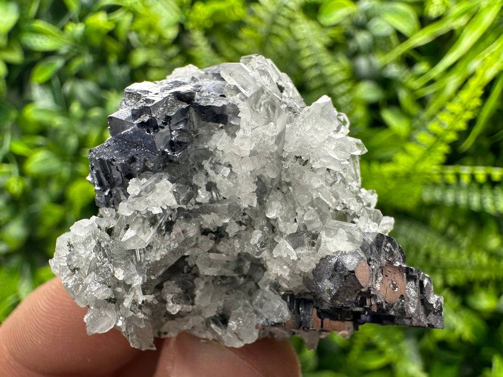 Galena on Quartz with Calcite: Natural Mineral Souvenir