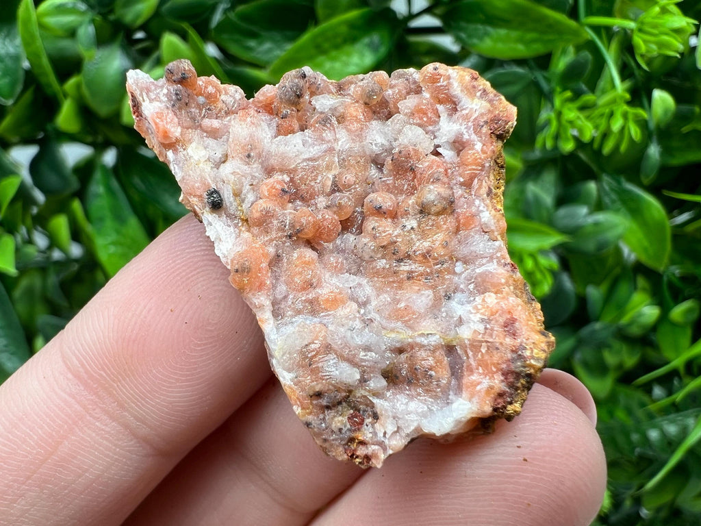 Moroccan Red Chalcedony Crystal Specimen: Rare Mineral Gift