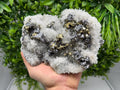 Sphalerite Chalcopyrite Galena on Quartz, 9th September Mine Mineral Specimen