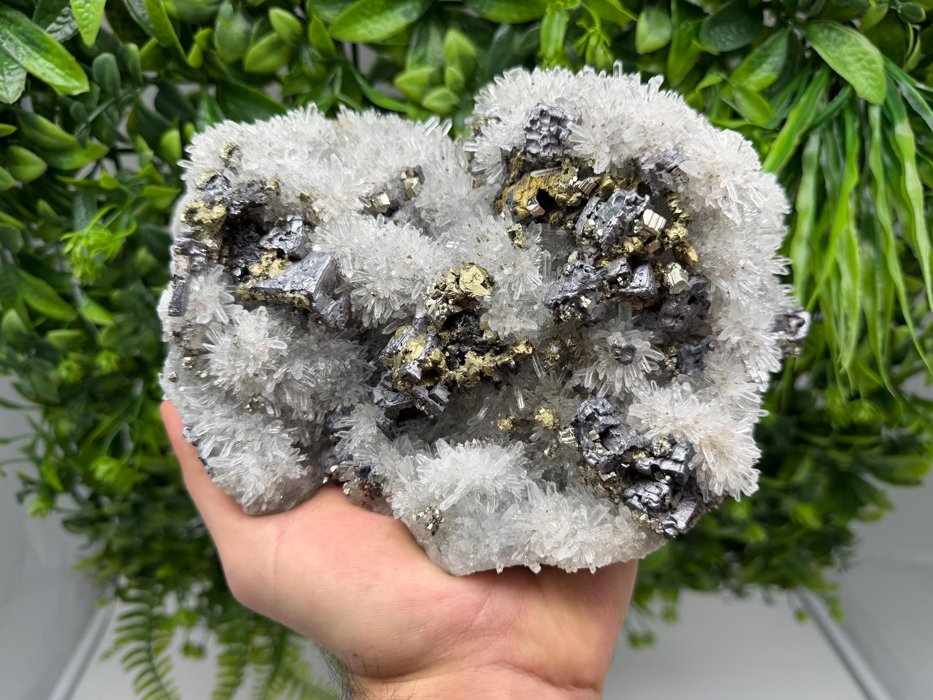 Sphalerite Chalcopyrite Galena on Quartz, 9th September Mine Mineral Specimen