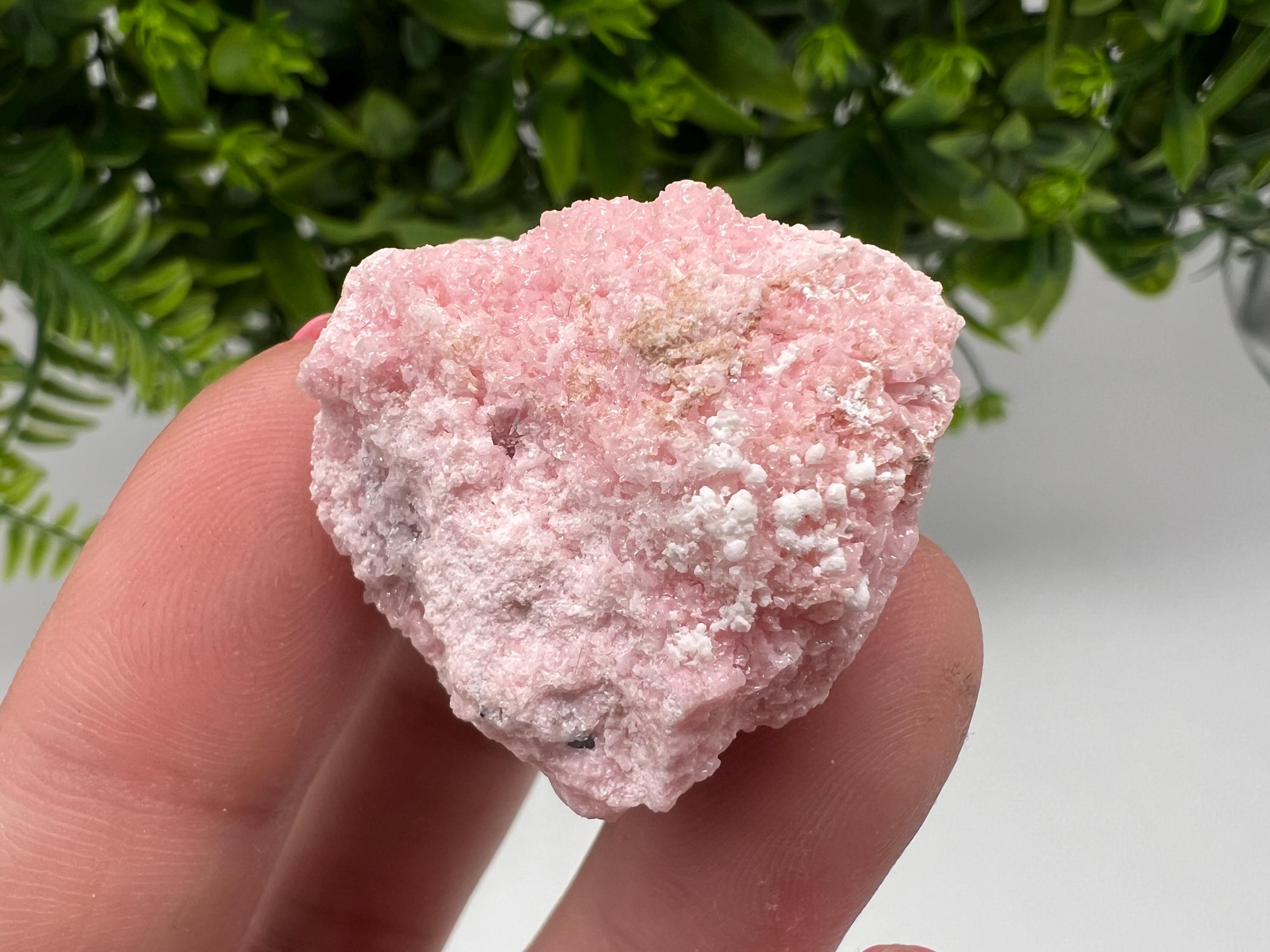 RARE Rhodochrosite with Calcite, Starnica Mine, Bulgaria