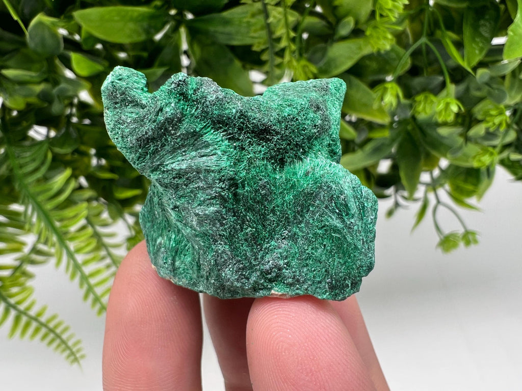 Malachite Crystal from Congo,Minerals,Crystals from Congo,Green Malachite, Malachite,Natural Malachite,Malachite Stone,Chakra, Specimens