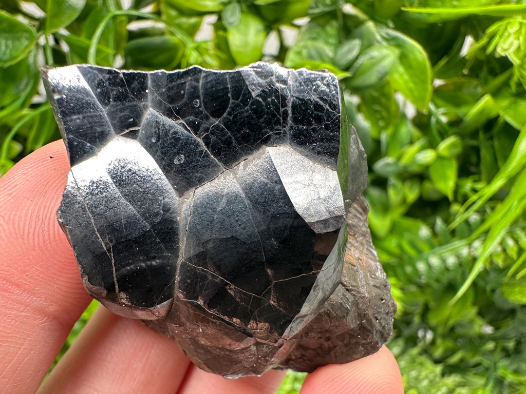 Moroccan Black Botryoidal Hematite Specimen, Chakra Reiki Crystal