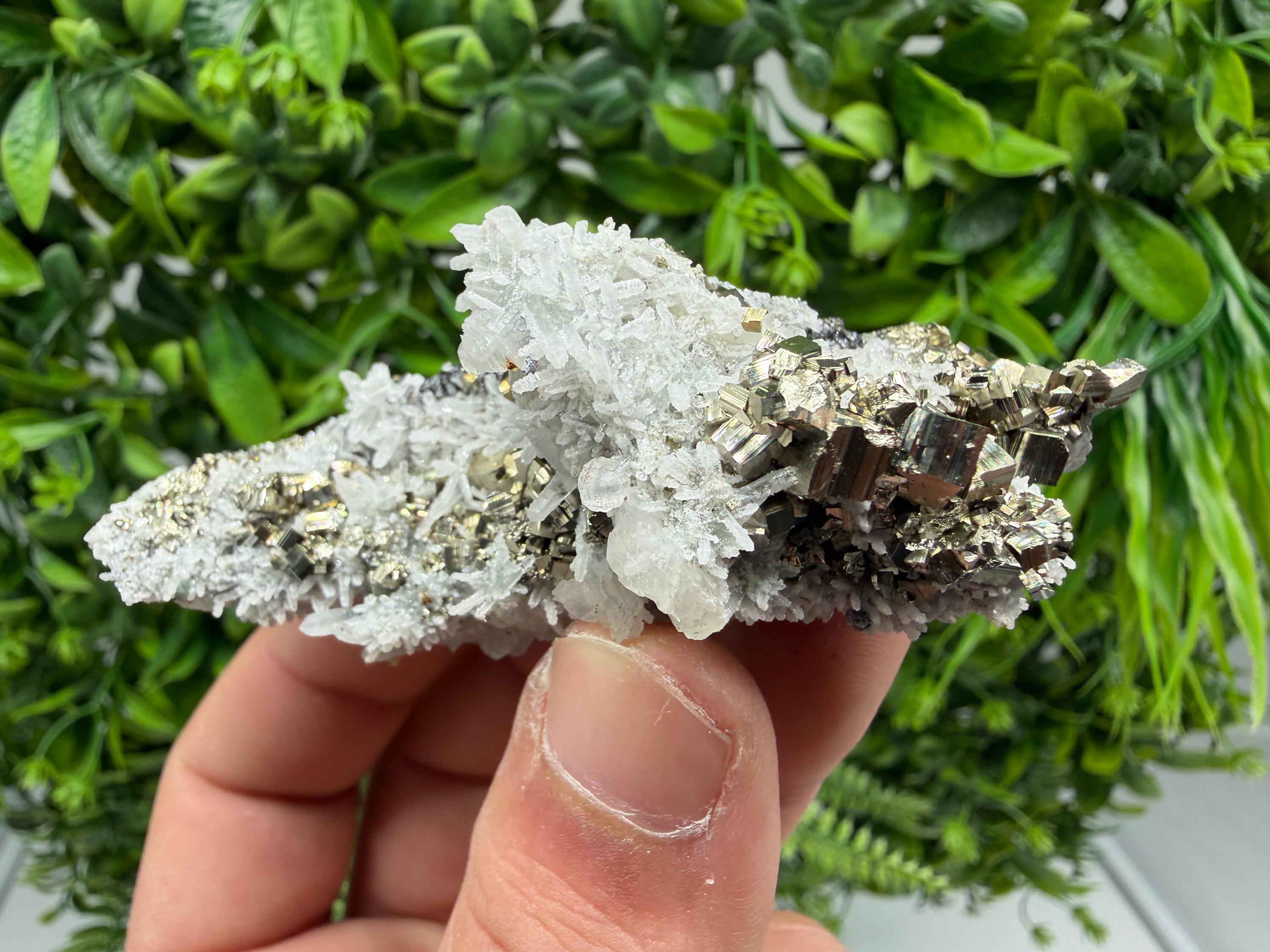Pyrite Sphalerite Quartz  Mineral Specimen, Krushev dol Mine