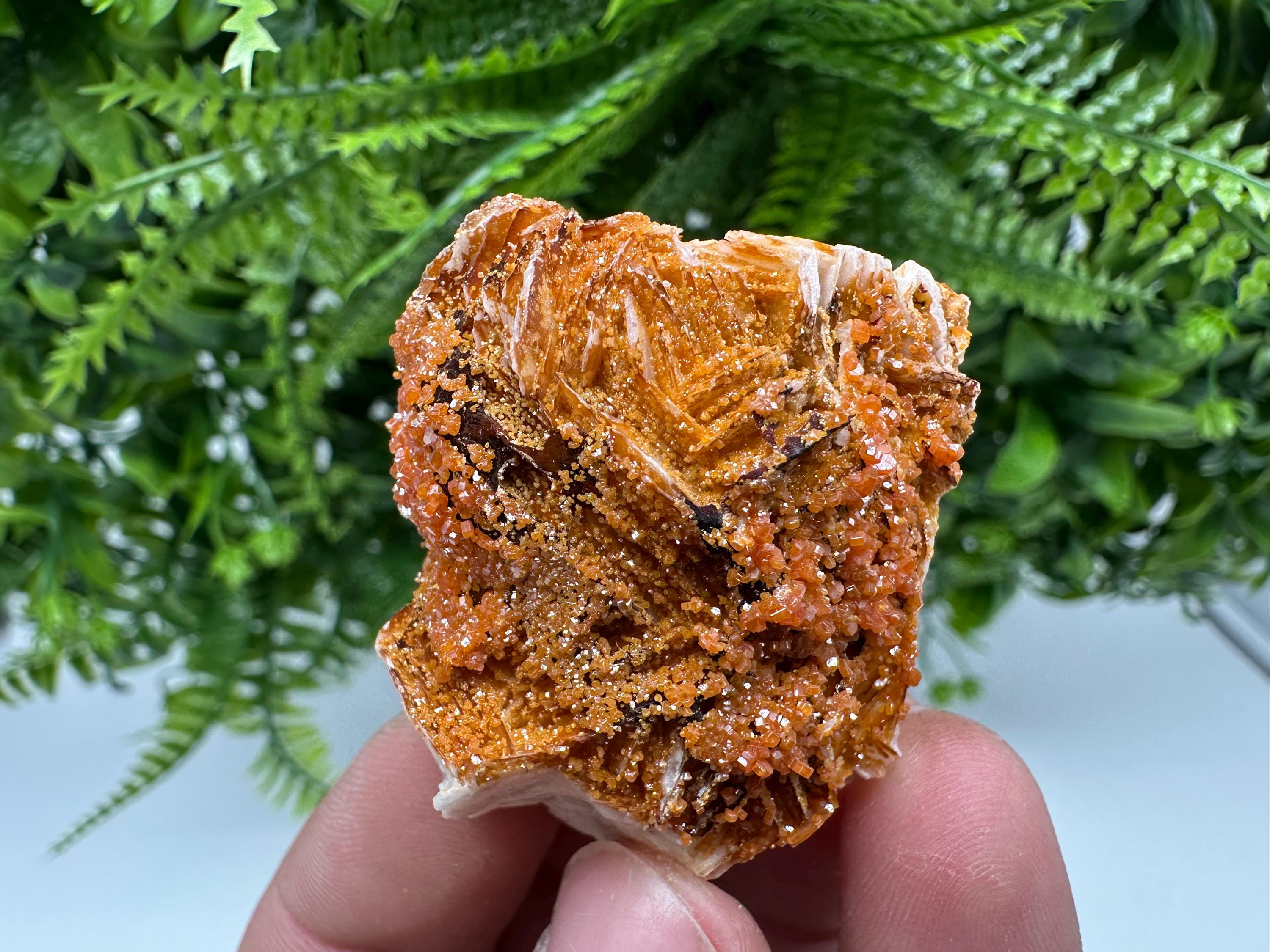 Red Vanadinite on Barite, Morocco Crystal Specimen