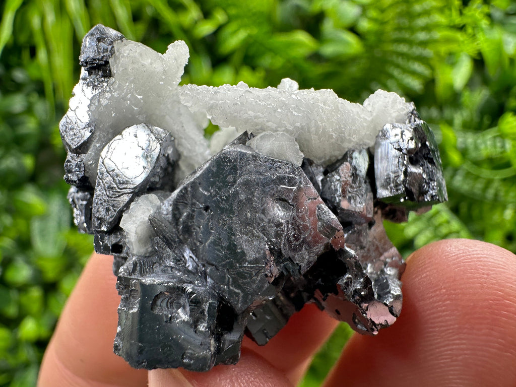 Rare Calcite on Galena: Borieva Mine, Bulgaria